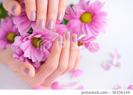 Hands of a woman with pink manicure on nails Hands of a woman with pink manicure on nails 36336144