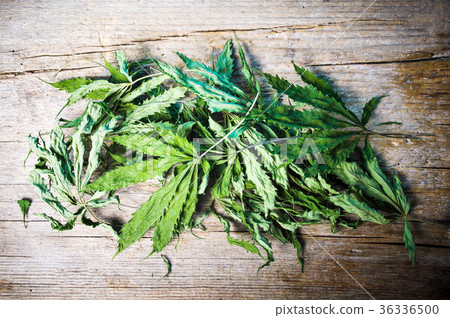 Dried marijuana leafs on a wooden table 36336500