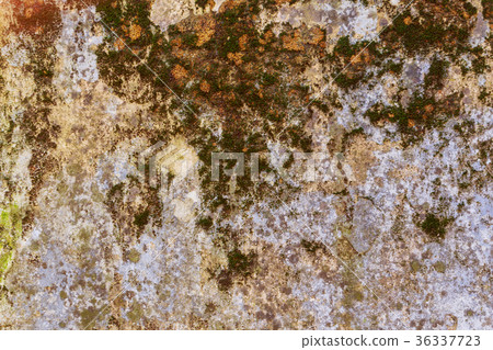 Old wall background, has a fibrous Suitable Old wall background, has a fibrous Suitable 36337723