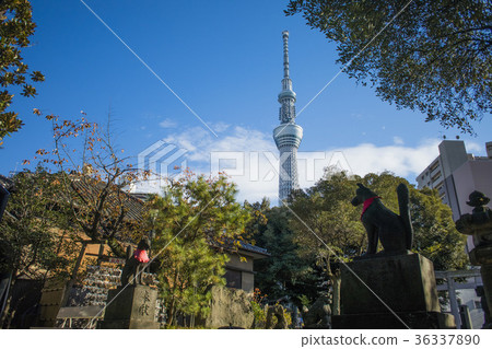 Tokyo landscape Tokyo landscape 36337890