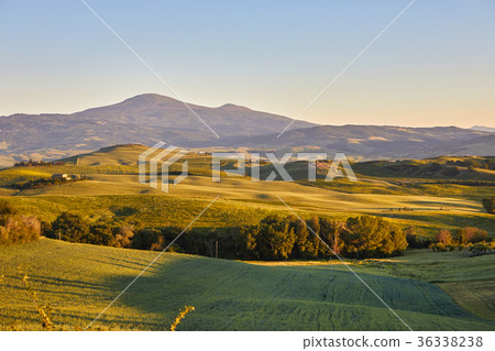 Landscape in Tuscany, Italy 36338238