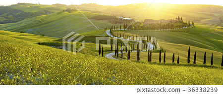 Landscape in Tuscany, Italy Landscape in Tuscany, Italy 36338239