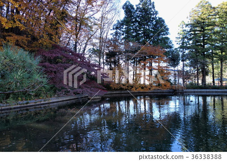 足利市和Nagarinji寺的12月 足利市和Nagarinji寺的12月 36338388