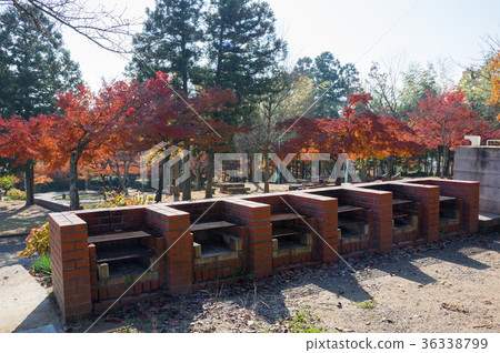 秋葉高松市香川縣峰山公園露營地 秋葉高松市香川縣峰山公園露營地 36338799
