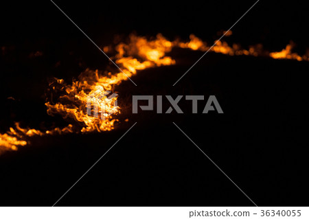 Shibayaki Shibayaki 36340055