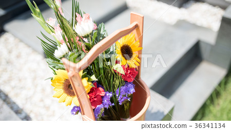 參觀墳墓 36341134