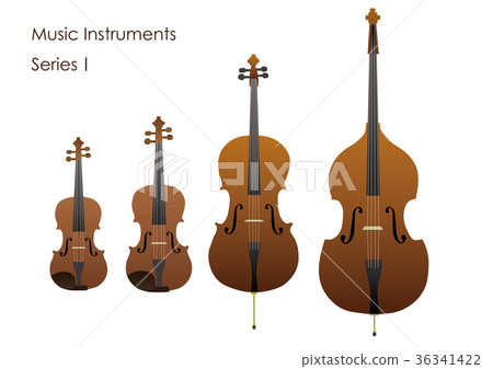String instrument String instrument 36341422