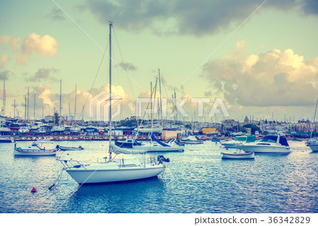 view of european harbor with maltese yachts  36342829