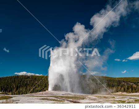 Old Faithful geyser in Yellowstone National Park 36342911