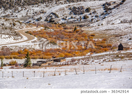 First snow and autumn trees along wet highway First snow and autumn trees along wet highway 36342914