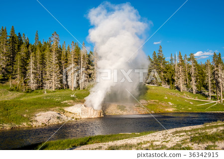 Riverside Geyser in Yellowstone National Park 36342915