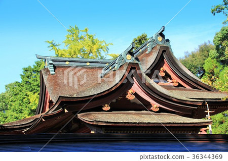 Kashii Miyamotodon (Fukuoka City) 36344369