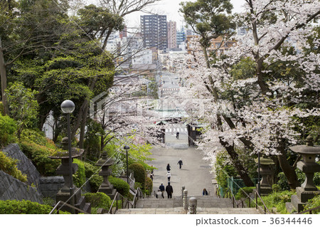 Landscape seen from Ikegami Honmon-ji Temple 36344446