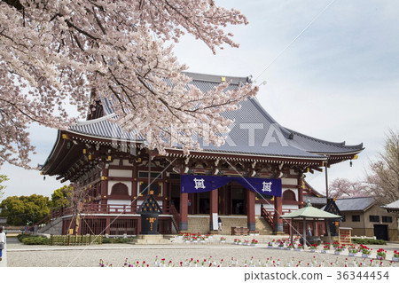 Ikegami Honmonji Oodo(Soshido) Ikegami Honmonji Oodo(Soshido) 36344454