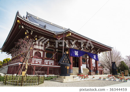 Ikegami Honmonji Oodo(Soshido) Ikegami Honmonji Oodo(Soshido) 36344459