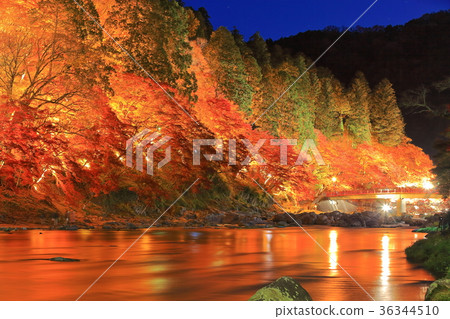 Konami River's autumn leaves light up 36344510