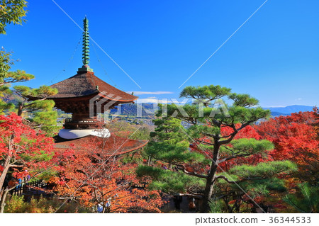 The autumn leaves of Tokoko-ji Temple Tamo Tower 36344533