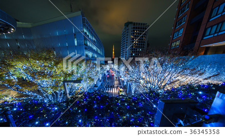 Keyakisaka Illuminations 36345358