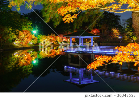 Autumn leaves of Okazaki East Park 36345553