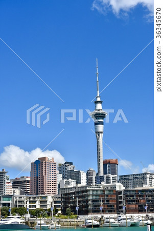 Sky tower seen from the port Sky tower seen from the port 36345670