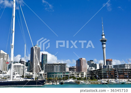 Sky Tower 36345710