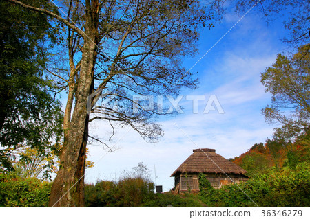 Old rural landscape Old rural landscape 36346279