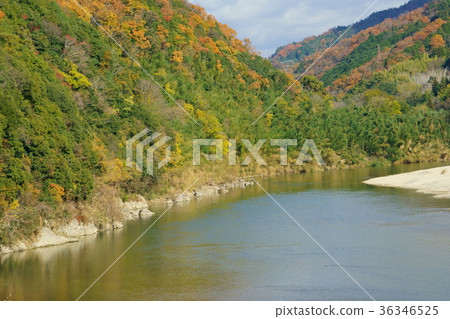 Fall river and autumn leaves 1 Fall river and autumn leaves 1 36346525