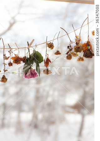 Furano Atelier Fukyo winter 36347088