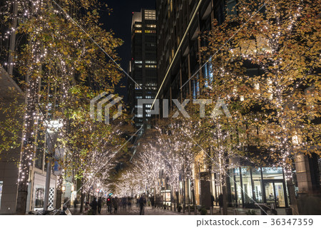 丸之內Nakadori Illuminations 36347359