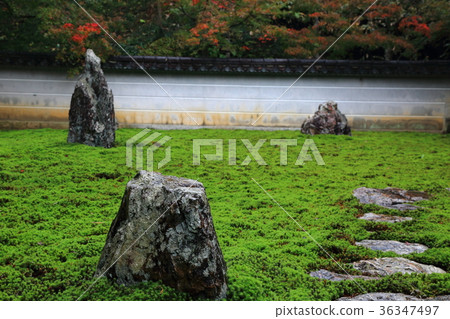 Ishiwa 18（岐阜縣岐阜市Miwa：Mikeiyama Makotoji） 36347497