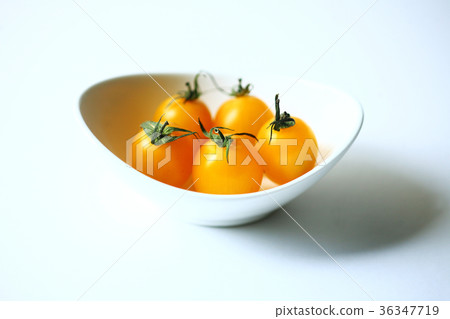 季節性食材新鮮採摘櫻桃西紅柿 36347719