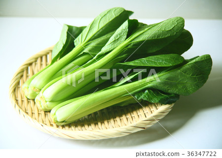 季節性食材早上採摘的Komatsuna 36347722