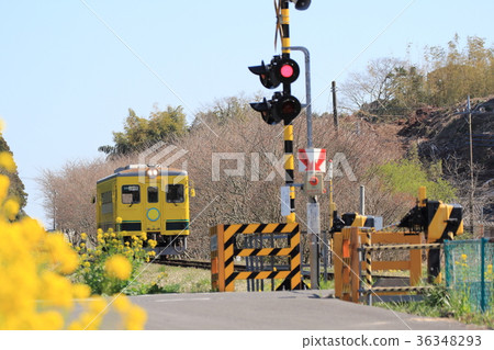 春季發行鐵路道口 36348293