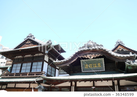 道後溫泉 36348599