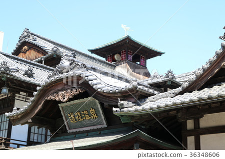 道後溫泉 36348606