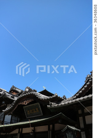 道後溫泉 36348608