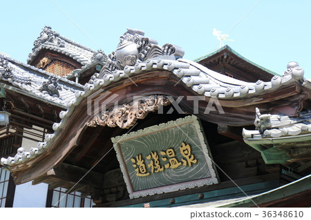 道後溫泉 36348610