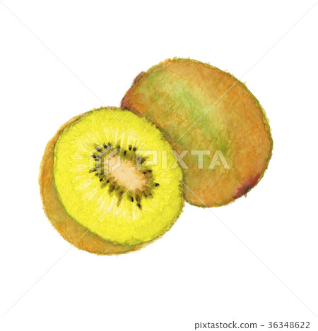 奇異果金 奇異果金 36348622