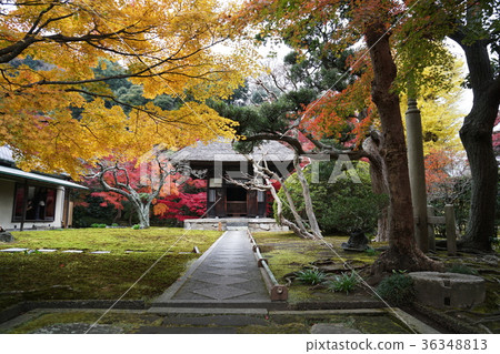 Kamakura Nagasuji Temple Kamakura Choujyuji-temple 36348813