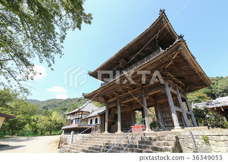 Gyokitera Gyokitera 36349053