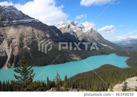 Peyto Lake (Canadian Rockies) Peyto Lake (Canadian Rockies) 36349830