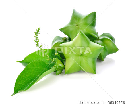 Sacha Inchi on white background,fresh capsule seed 36350558