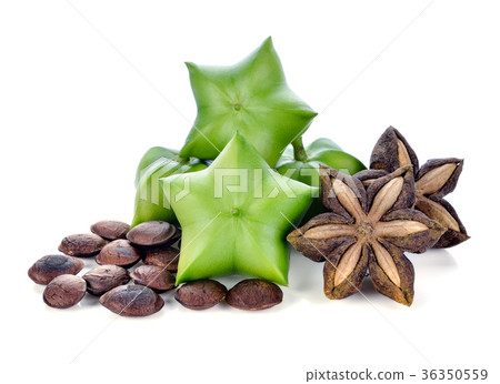 Sacha Inchi on white background,fresh capsule seed 36350559