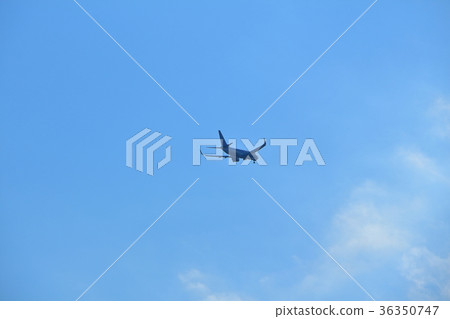 藍天和飛機 藍天和飛機 36350747