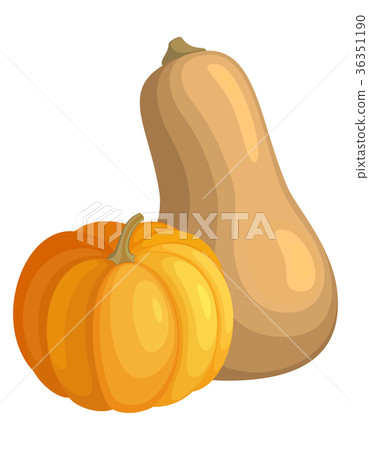 Fresh Autumn Pumpkins. Fresh Autumn Pumpkins. 36351190