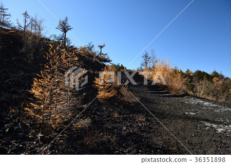 大岩和富士山的步行路徑的秋葉(柳葉縣) 大岩和富士山的步行路徑的秋葉(柳葉縣) 36351898