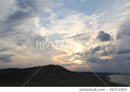 夕陽西下時的鳥取沙丘 | 暮色籠罩下的沙丘景觀 36352069