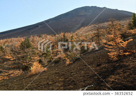 大岩和富士山的步行路徑的秋葉(柳葉縣) 大岩和富士山的步行路徑的秋葉(柳葉縣) 36352652