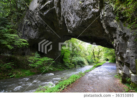 Teishinkyo Yuhashi 300 million years of history 36353893