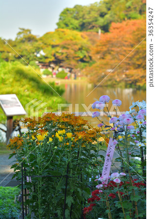 Yokohama Sankeien Garden Yokohama Sankeien Garden 36354247